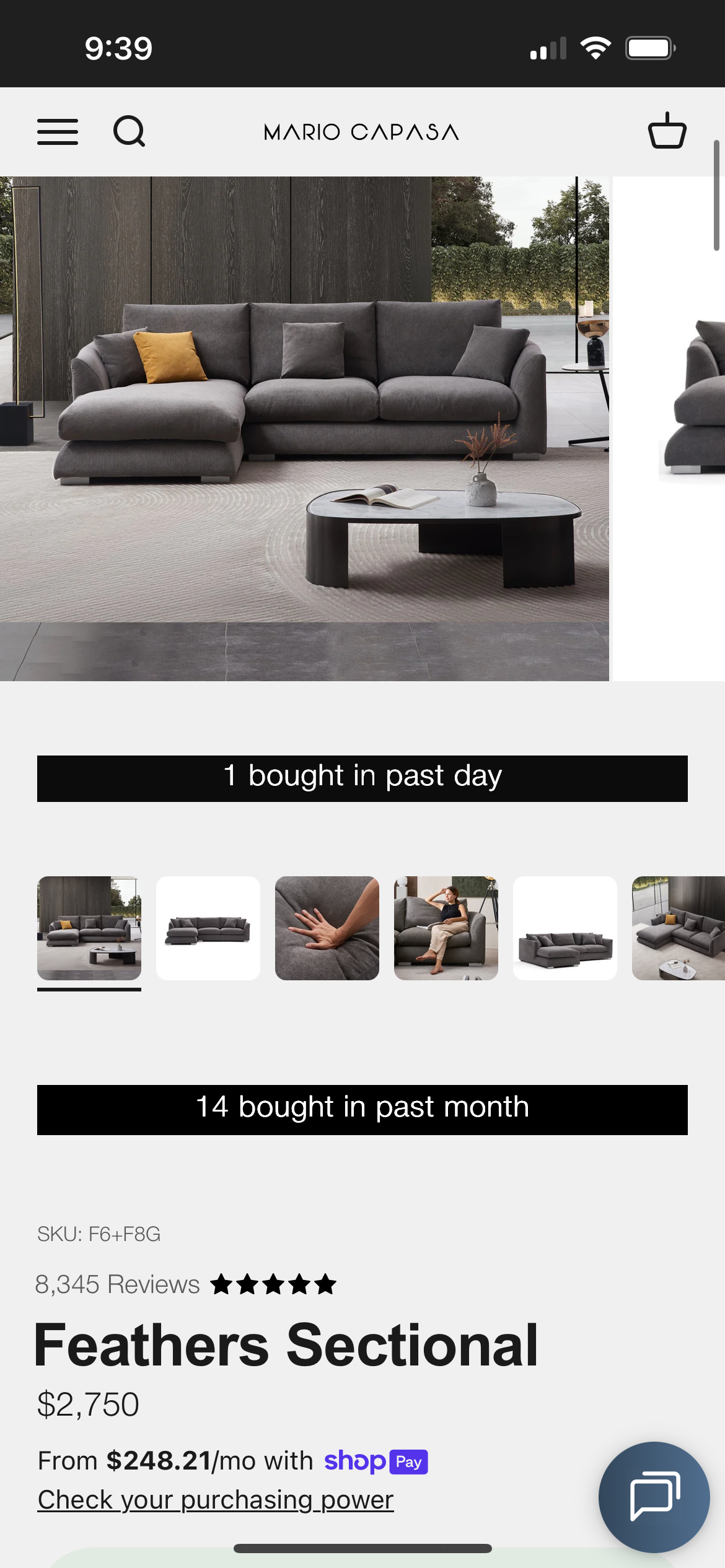 Mario Capasa Gray Feathers Collection Sectional