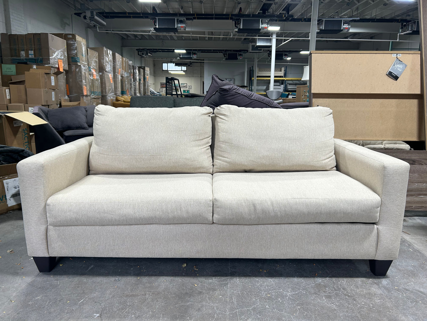 Contemporary Beige Sleeper Sofa