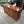 Maple Wood Sideboard