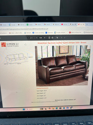 Dreamliner Top-Grain Leather Queen Sleeper Sofa