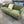 Living Spaces Sofa
