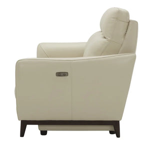 Crosslin Leather Power Loveseat Set