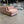 Joybird Anton Sectional