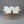 5 Rove Concepts Counter Stools