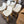 5 Rove Concepts Counter Stools