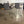 Light Gray Counter Height Stools