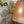 Coaster fine furniture table and 8 chairs set