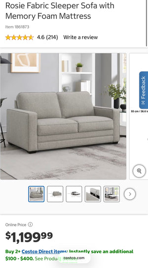 Rosie Fabric Sleeper Sofa with Memory Foam Mattress