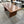 West Elm Santa Rosa Plank Dining Table (76