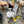 Branch Office Chair