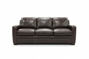 Dreamliner Top-Grain Leather Queen Sleeper Sofa