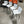 White Barstools