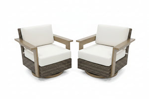 Agio Juniper 2-Piece Outdoor Patio Swivel Glider Chairs