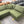 Joybird Bryant 5-Pc Modular Sectional (Faithful Olive)