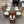 9-Pc Glass Dining Table & Maple Wood Chair Set