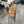 Room & Board Bar Stools (Set of 4)