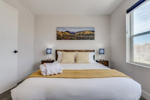 Contemporary Queen Bed Frame (2)