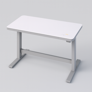 GELLER 47" SIT/STAND DESK