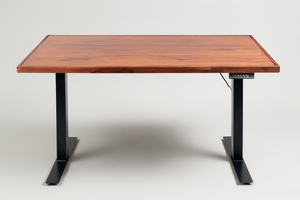 Standing Adjustable Desk