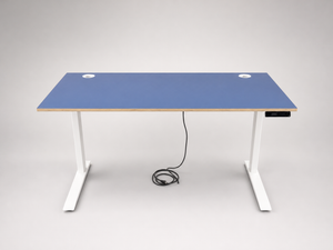 Fully Jarvis Electric Adjustable Height Standing Desk