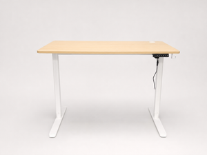 Standing Adjustable Desk