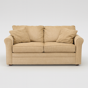 La-Z-Boy Sleeper Sofa