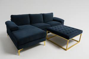 Modern Sectional with Ottoman