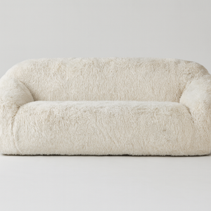 Fuzzy Sofa