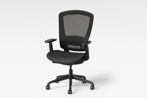 1 Ergonomic Mesh Office Chair